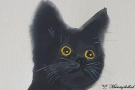fekete cica akvarell
