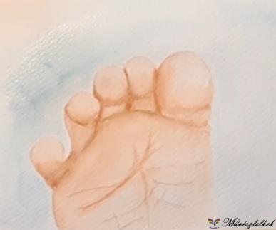 Babatalp festése akvarellel, online akvarell tanfolyam