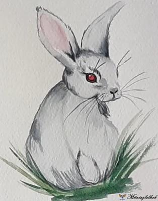 nyuszi akvarell online tanfolyam