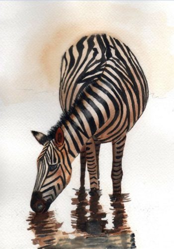 zebrafestő akvarell workshop
