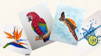 Varázslatos akvarellceruzák Online akvarell grafit és színes akvarellceruzás festő tanfolyam