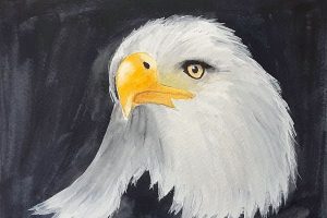 sas festése akvarell festékkel online tanfolyami anyag