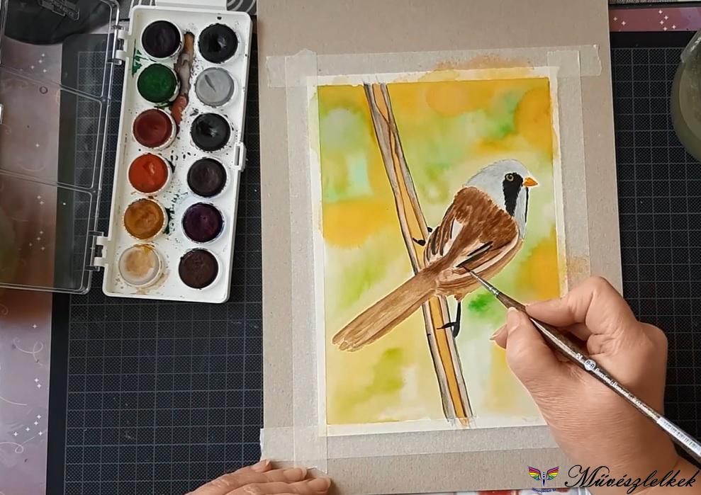barkós cinege akvarell festő tanfolyami anyag