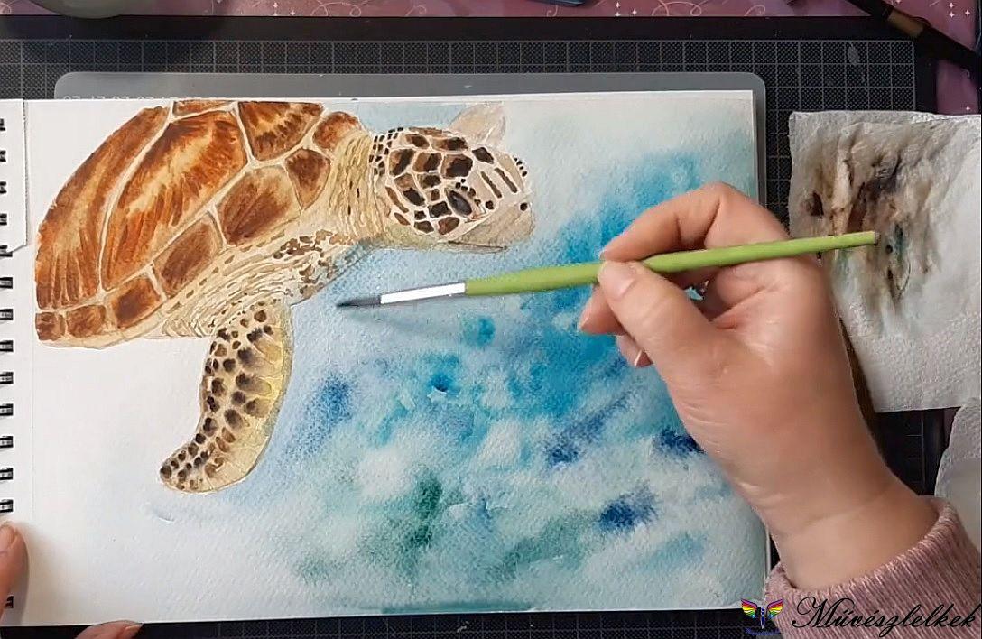 akvarell teknős festése nedvesre nedves technikával