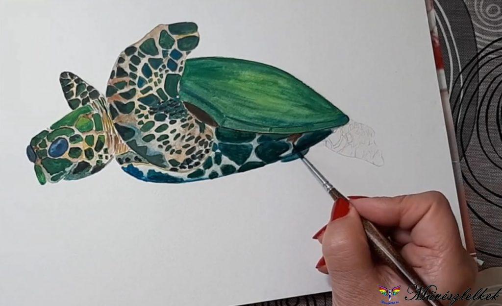 tengeri teknős gouache festő tanfolyami anyag