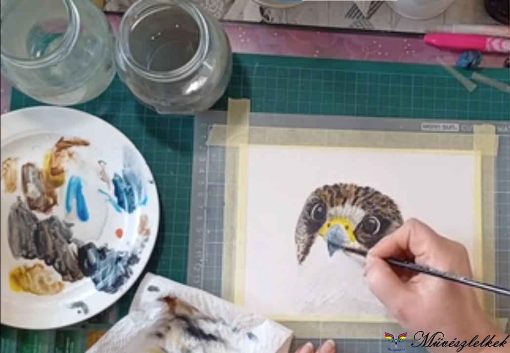 kerecsensólyom festése akvarellel