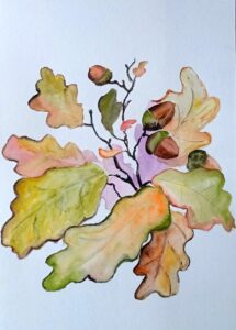 őszi levelek és makk akvarellel festve