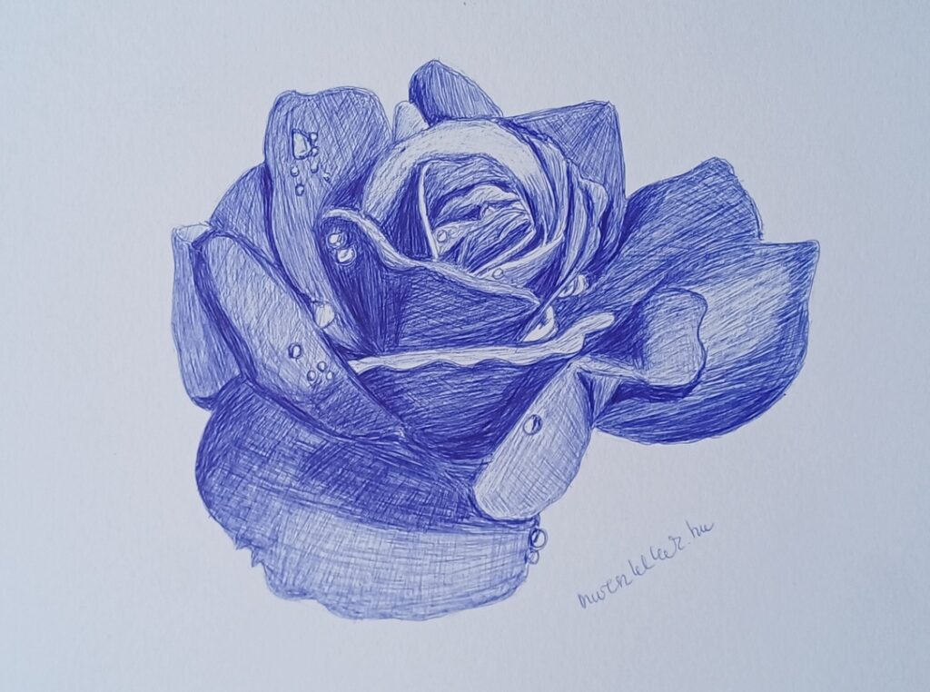 Tiszta tinta - Golyóstoll rajzok online workshop